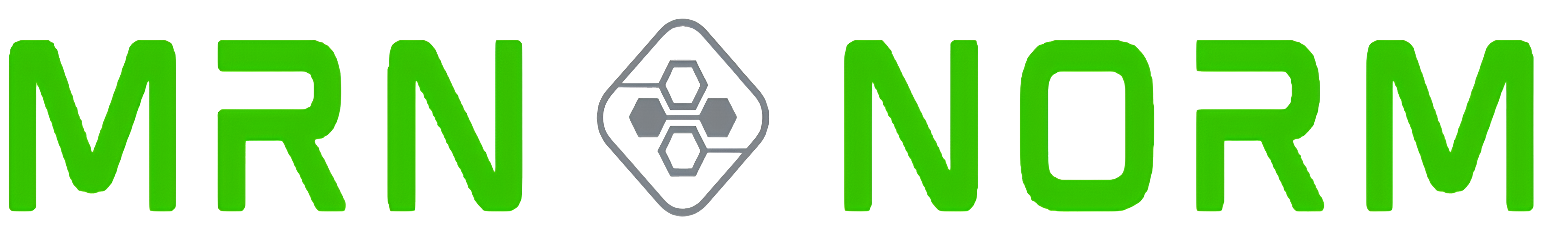 MRN_NORM_LTD_logo